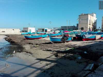 Su una piccola spiaggia di ciottoli, sabbia e posidonia sono ormeggiati numerosi e colorati �gozzi�, principalmente rossi e blu